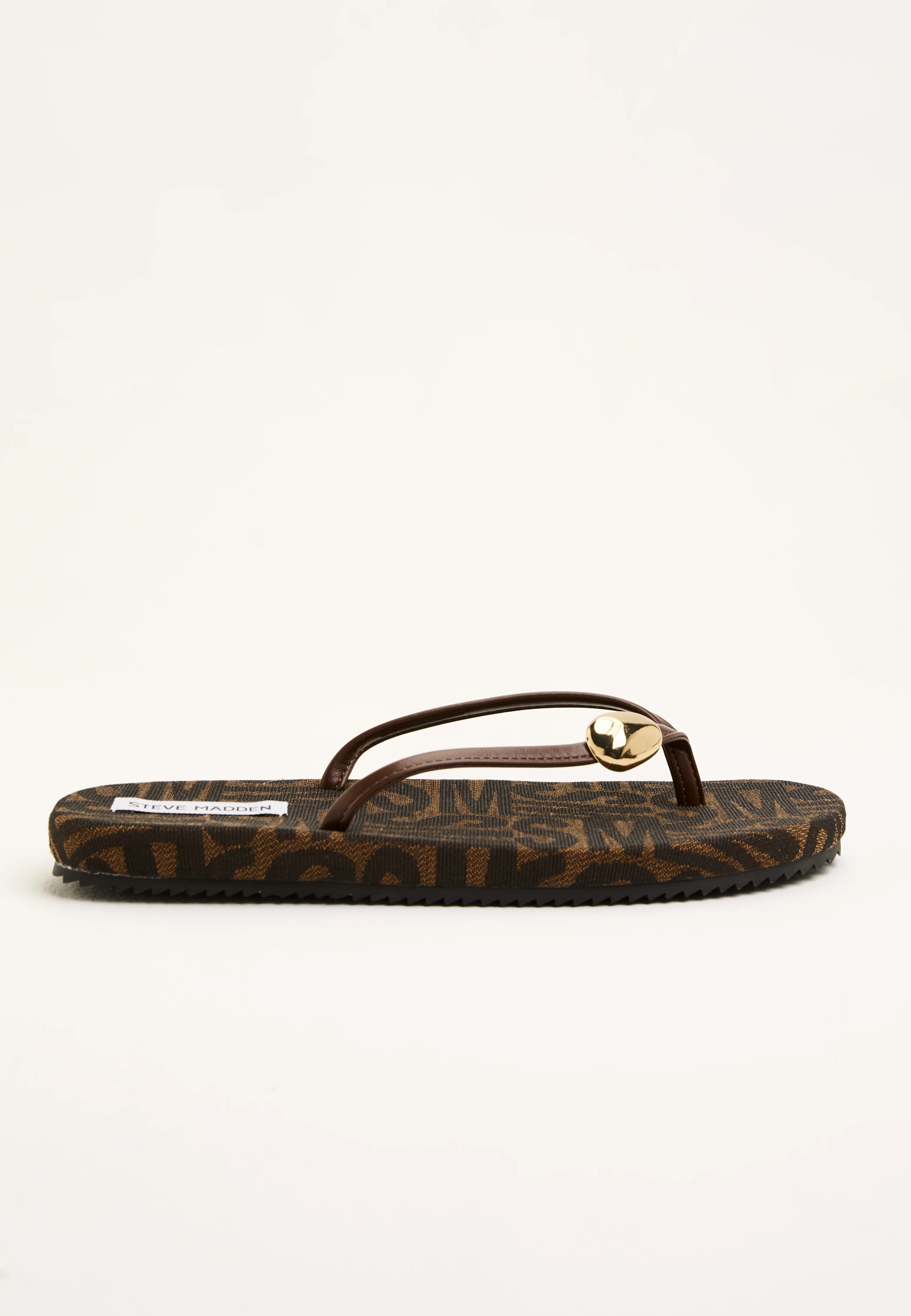 Surfup - Image 8